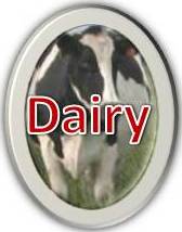 Dairy Resources